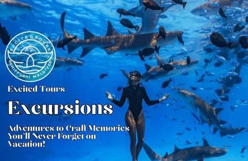 Dhiffushi Hotel | All Inclusive Stays by Excited Tours - Dhiffushi