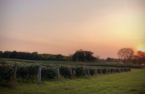 Lawton Cottage | All Sports Lake Private Home Wine Country Pure Michigan Close to Wineries Casino