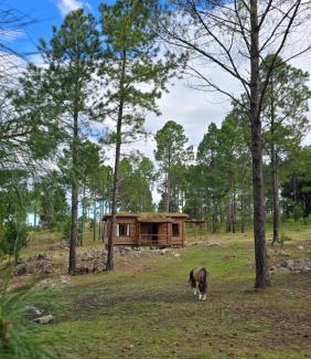 Calamuchita Department Ski Chalet | Alli Allpa Finca y Cabañas de Montaña