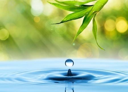 Rosolina Apartment | Alloggio La Goccia