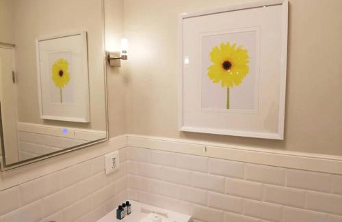 Cape Winelands House | Alluvia Boutique Winery & Luxury Accommodation