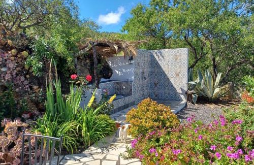 Las Tricias House | Alma