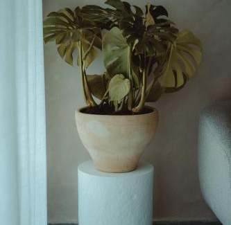 Nahariya Apartment | Alma Mare l Achziv