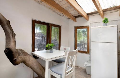 Teguise House | Aloe Art