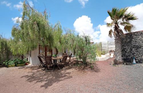 Teguise House | Aloe Art