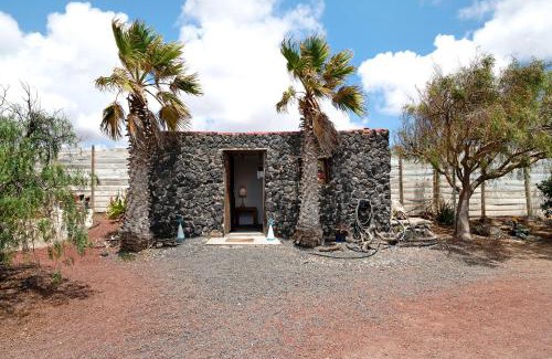 Teguise House | Aloe Art