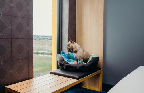 Bucksburn Hotel | Aloft Aberdeen TECA