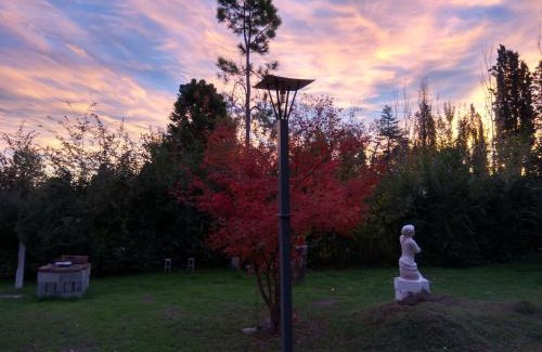 Juan Martin de Pueyrredon Apartment | Alojamiento Cuchi Corral