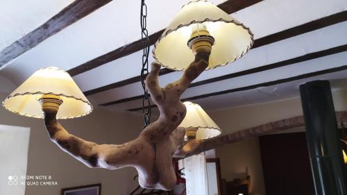 Riopar House | Alojamiento El Parral