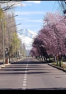 Tupungato Apartment | Alojamiento hermoso en el centro de Tupungato vista incomparable