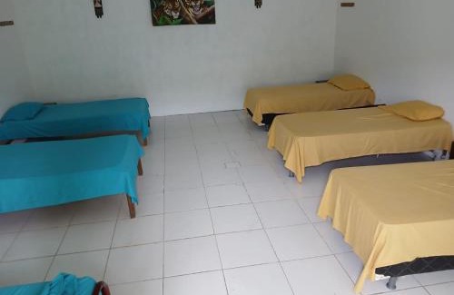 Leticia House | Alojamiento LETICIA
