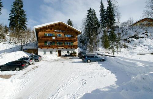 Fieberbrunn Apartment | Alpenresidenz Fieberbrunn