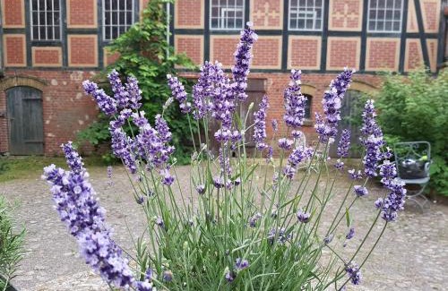 Oberhavel Bed & Breakfast | Alte Lebkuchenfabrik