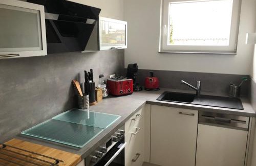 Bad Duerkheim Apartment | Alte Schlosserei Leistadt