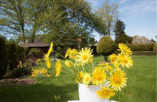 Manderscheid Bed & Breakfast | Altes Forsthaus