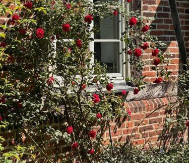 Wardow Apartment | Altes Polchower Pfarrhaus