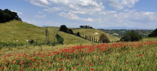 Zona III Marcigliana Bed & Breakfast | AltraTerra Casa Rurale