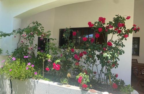 Altura House | Altura Inn Cottage