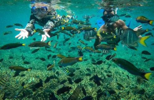 Kampung Pasir Hantu Resort | Alunan Resort