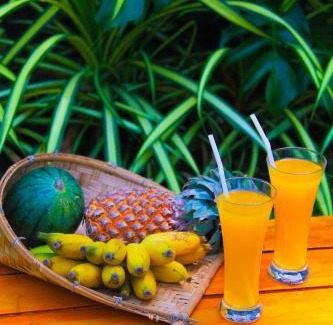 Udawalawa Bed & Breakfast | Amare Safari Resort Udawalawe