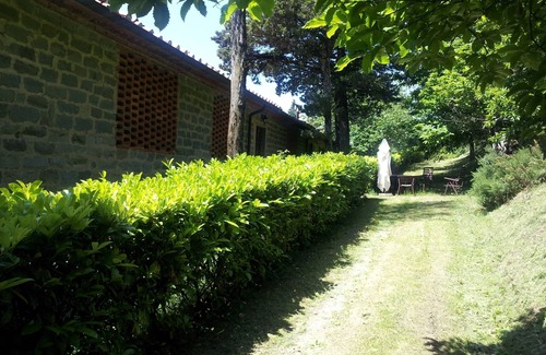 Castelfranco di Sopra Apartment | Amazing stay in Tuscany rustic style