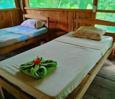 Saquena Hotel | Amazon eagle Explore