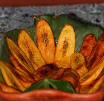 Indiana Other | Amazon Nativo Lodge