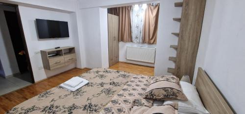 Timisoara Apartment | Amedeea Accomodation