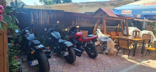 Fagaras House | Amelia House