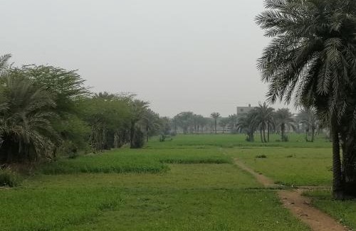 Loralai District Apartment | An apartment on 1st floor on Easypaisa bank