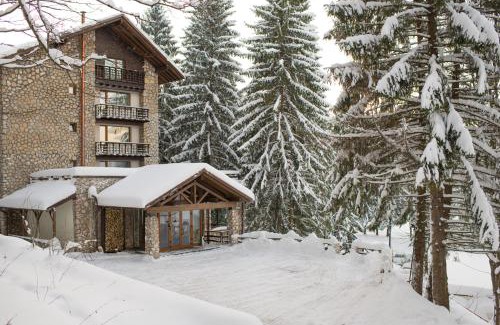 Poiana Brasov Hotel | Ana Hotels Bradul Poiana Brasov