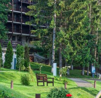 Poiana Brasov Hotel | Ana Hotels Bradul Poiana Brasov