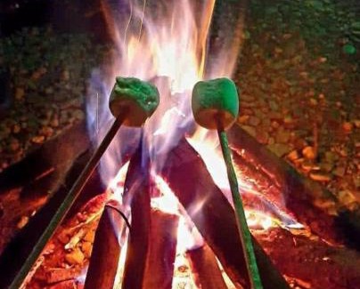 Barbosa Other | ANCESTRAL GLAMPING