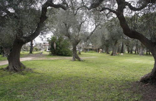 Monteroni di Lecce House | Ancient country house among the olive trees of Salento 20 'from the sea