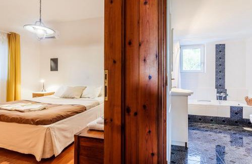 Andritsaina-Krestena Apartment | Ancient Olympia, mangata-home