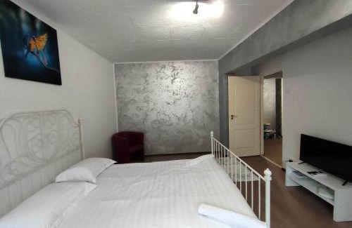 Baile Herculane Apartment | ANDI 3-apartament