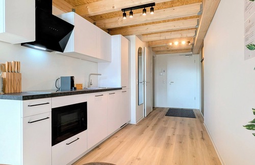 Kaiserslautern Apartment | ANDRISS - Stilvolle Lofts & Penthouses