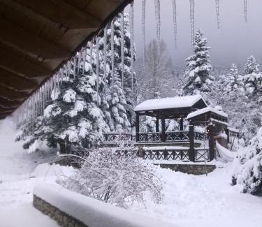 Kato Pedina Ski Chalet | Anemoria Chalets-Castalia Chalet