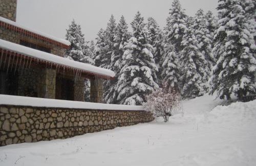 Kato Pedina Ski Chalet | Anemoria Chalets-Castalia Chalet