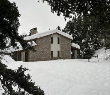 Kato Pedina Ski Chalet | Anemoria Chalets-Castalia Chalet