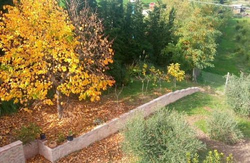 Servigliano House | Angela Garden B&B - Camera Sky