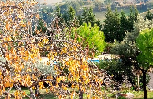 Servigliano House | Angela Garden B&B - East Room (triple)