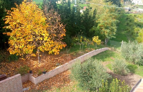 Servigliano House | Angela Garden B&B - East Room (triple)