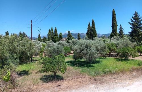 Kalligoni Apartment | Anima