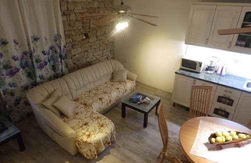 Maslinica House | Animals accepted for the whole family