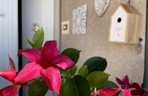 La Spezia House | Annali Casa vacanze - Shabby style nella natura