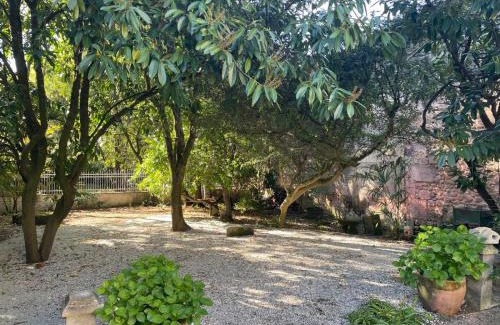 Chateauneuf-sur-Charente Apartment | Annexe du pont de la Charente Côté jardin