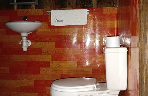 Nauta Cabin | Antares Amazon Lodge