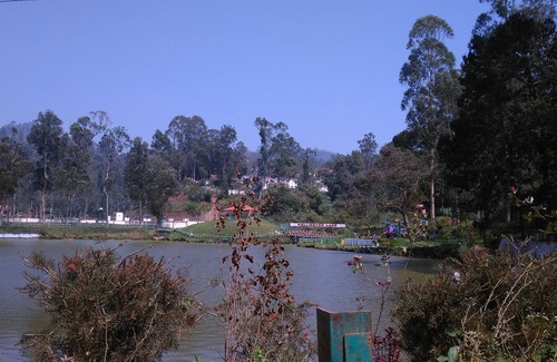 Coonoor Cabin | Anti ageing Rejuvenation Centre