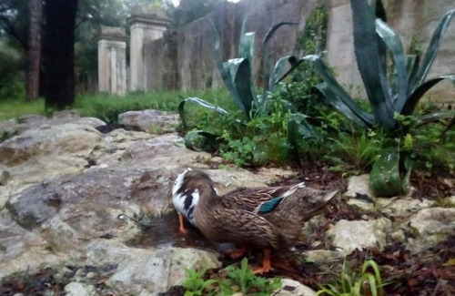 Maglie House | Antica riserva dei daini